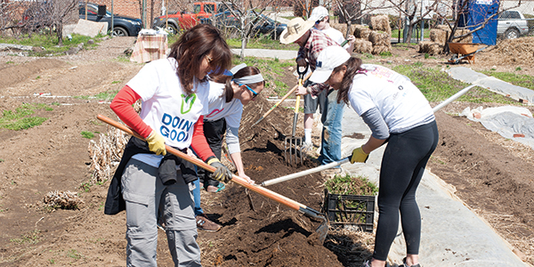 Volunteers garden on Good Deeds Day