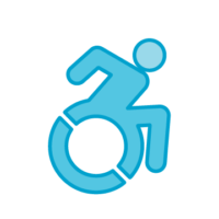 Physical Accessibility Icon