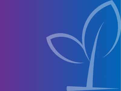 Keys to Tax and Charitable Gift Planning Under the New Tax Law