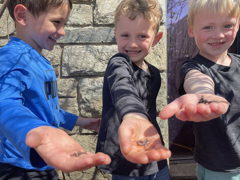 Three little boys holding worms in their hands