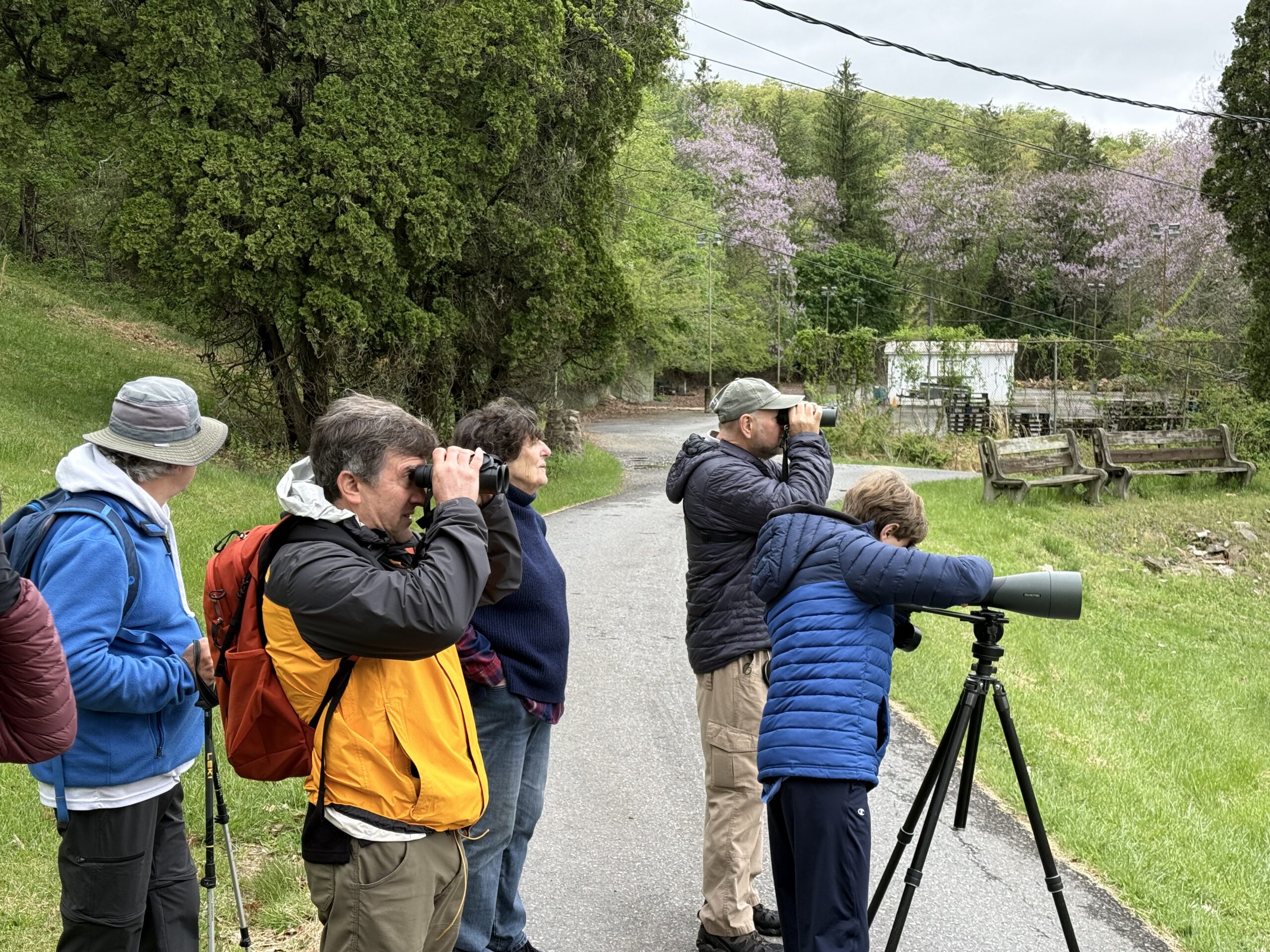 Capital Camps & Retreat Center’s Living Landscape- Birding and Jewish Wisdom in our Mountain Home Away from Home